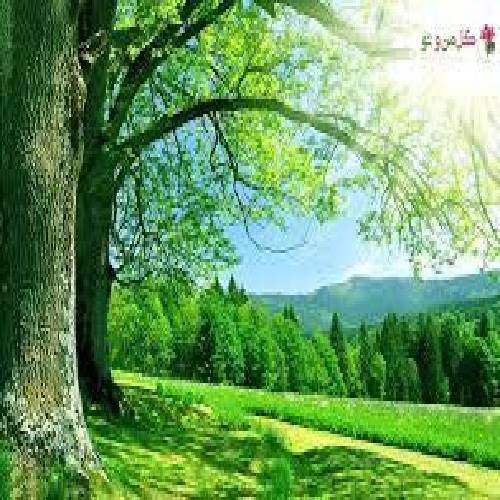 مهدیار جمع کن بزار برو هر دومون نفس بکشیم تو روان